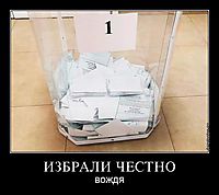ИЗБРАЛИ ЧЕСТНО вождя