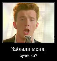 Забыли меня, сучечки?