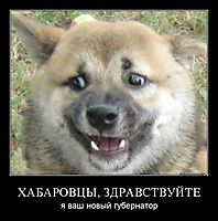 ХАБАРОВЦЫ, ЗДРАВСТВУЙТЕ я ваш новый губернатор