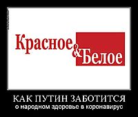 КАК ПУТИН ЗАБОТИТСЯ о народном здоровье в коронавирус