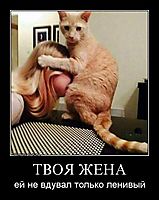 ТВОЯ ЖЕНА ей не вдувал только ленивый