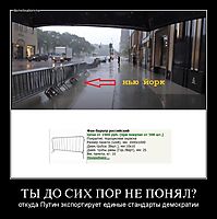 ТЫ ДО СИХ ПОР НЕ ПОНЯЛ? откуда Путин экспортирует единые стандарты демократии