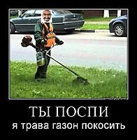 ТЫ ПОСПИ я трава газон покосить