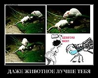 ДАЖЕ ЖИВОТНОЕ ЛУЧШЕ ТЕБЯ