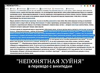 "НЕПОНЯТНАЯ XУЙНЯ" в переводе с википедии
