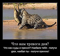 Что нам тревоги дня? Что нам суды и прения? Наебали тебя - получи урок, наебал ты - получи премию!