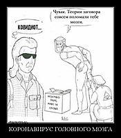 КОРОНАВИРУС ГОЛОВНОГО МОЗГА 