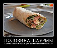 ПОЛОВИНА ШАУРМЫ стоимость годового доступа на демотивацию по-русски