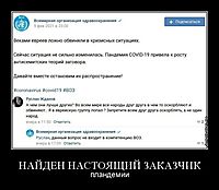 НАЙДЕН НАСТОЯЩИЙ ЗАКАЗЧИК пландемии
