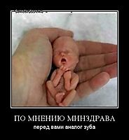 ПО МНЕНИЮ МИНЗДРАВА перед вами аналог зуба