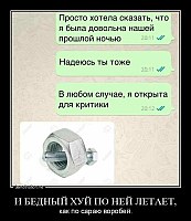 И БЕДНЫЙ ХУЙ ПО НЕЙ ЛЕТАЕТ, как по сараю воробей.