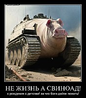 НЕ ЖИЗНЬ А СВИНОАД! с рождения с детства! за что боги дайте пожить!