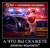 А ЧТО ВЫ СКАЖЕТЕ резвому водителю?