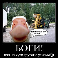 БОГИ! нас на хуях крутят с утками!(((