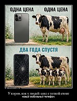 У коров, как у людей: секс с телкой стоит новый мобильный телефон.