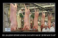 НЕ ДАДИМ ПРЕВРАТИТЬ ТАТАРСТАН В "ДУНГЫЗСТАН" 