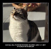 КОГДА НА ГОЛОВОЛОМКЕ НАПИСАНО 3-5 ЛЕТ а ты решил ее за два дня