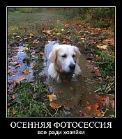 ОСЕННЯЯ ФОТОСЕССИЯ все ради хозяйки