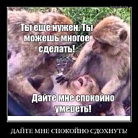 ДАЙТЕ МНЕ СПОКОЙНО СДОХНУТЬ! 