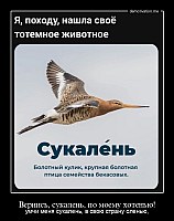 Вернись, сукалень, по моему хотенью! умчи меня сукалень, в свою страну оленью,