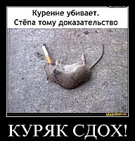 КУРЯК СДОХ! 